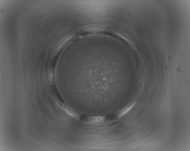 X0000074040288200608281452