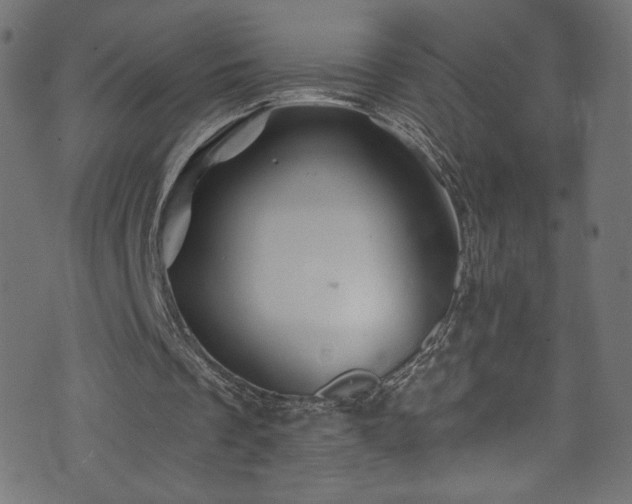 X0000074040289200608281451