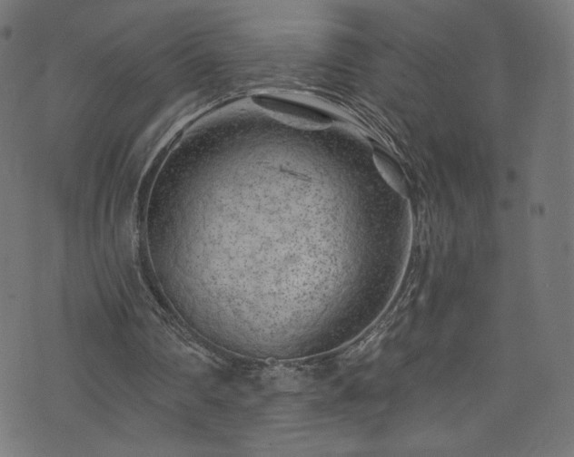 X0000074040290200608281451