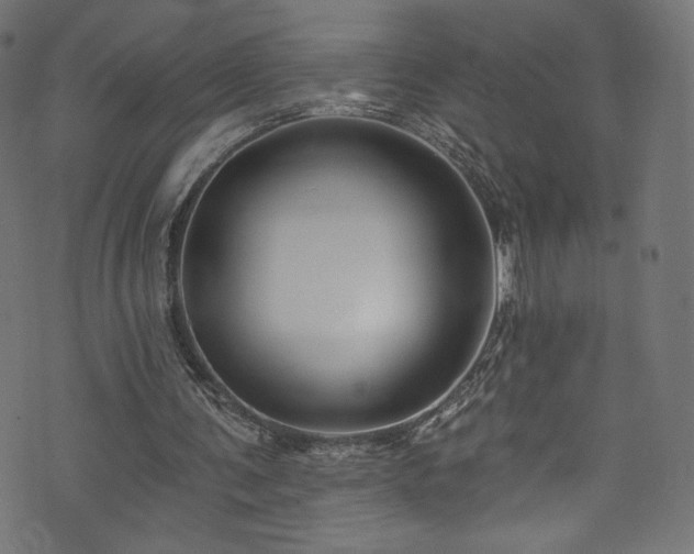 X0000074040291200608281451