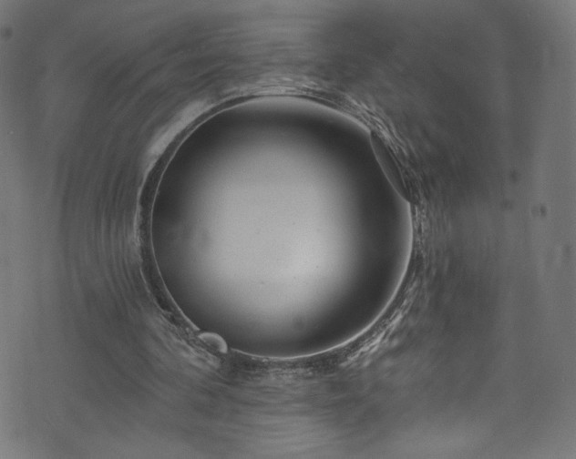 X0000074040292200608281451