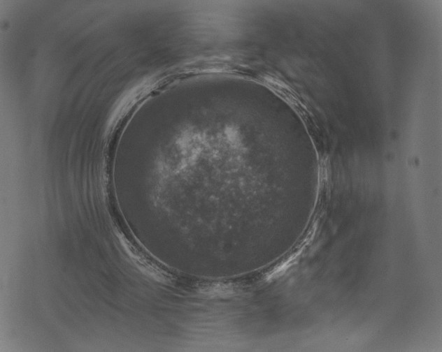 X0000074040293200608281451