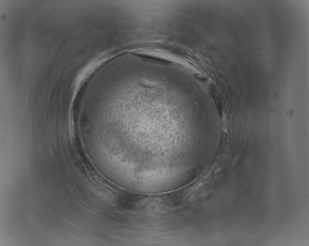 X0000074040294200608281451