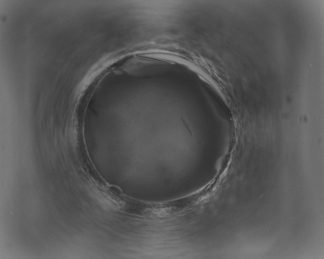 X0000074040295200608281451