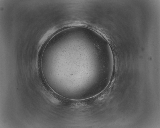 X0000074040296200608281451