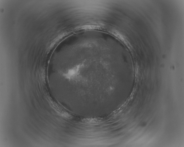 X0000074040297200608281451