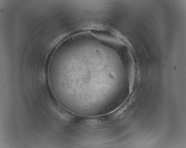 X0000074040298200608281451