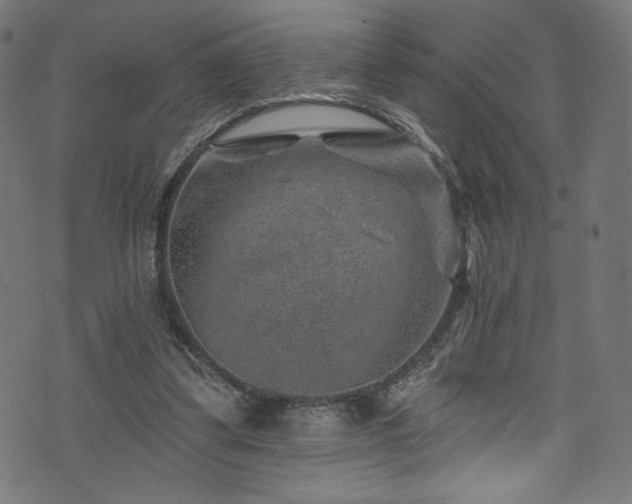 X0000074040299200608281451