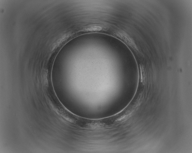 X0000074040300200608281451