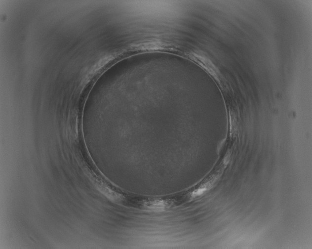 X0000074040301200608281451