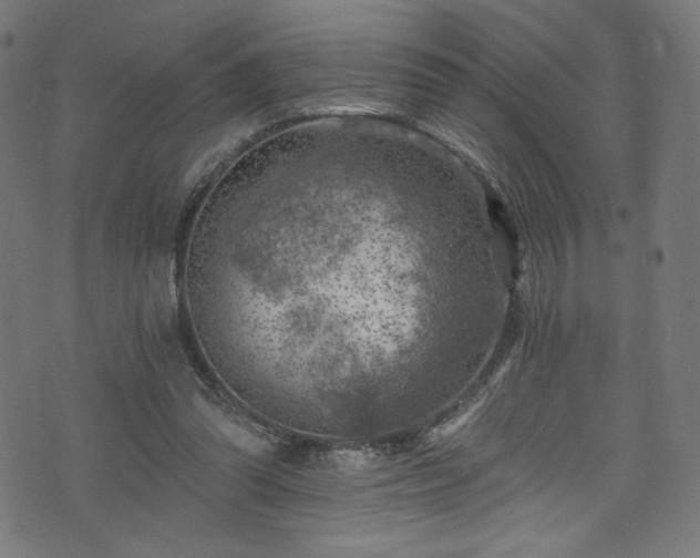 X0000074040302200608281451