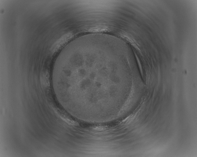 X0000074040303200608281451