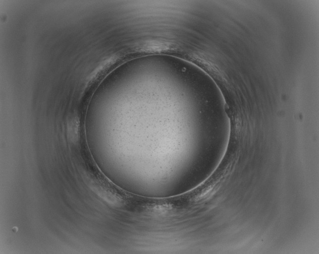 X0000074040304200608281451