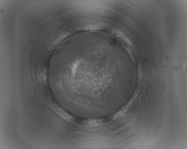 X0000074040305200608281451