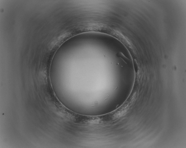 X0000074040306200608281451