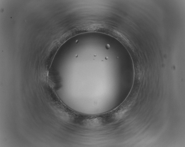 X0000074040307200608281451