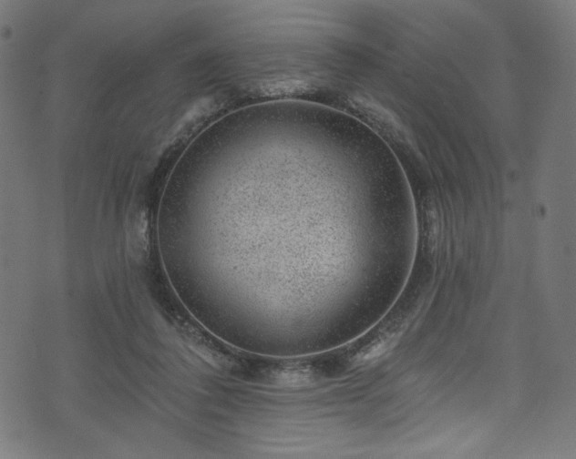 X0000074040308200608281451