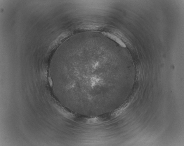 X0000074040309200608281451