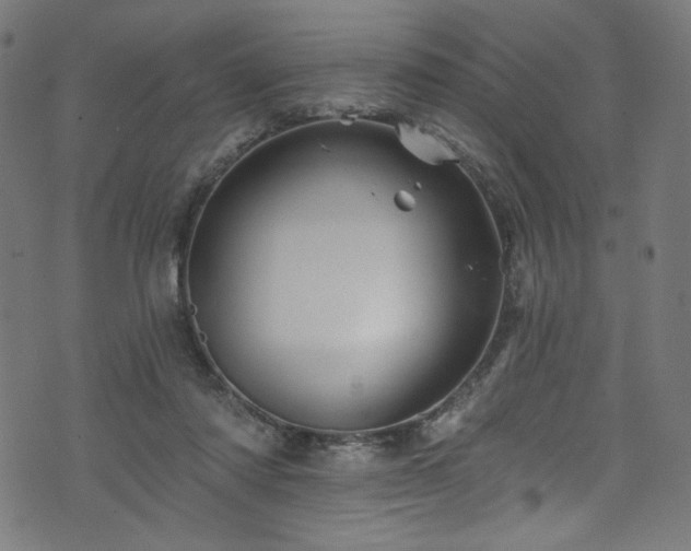 X0000074040310200608281451