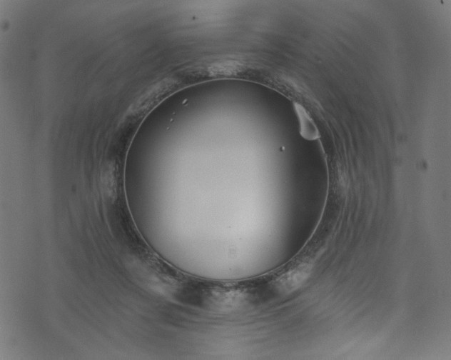 X0000074040311200608281451