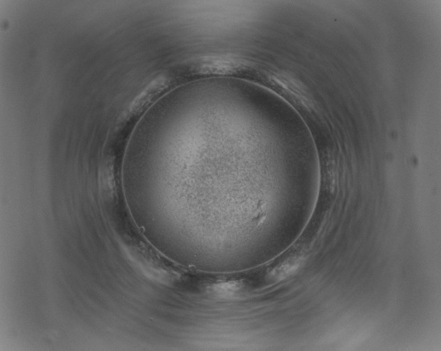 X0000074040312200608281451