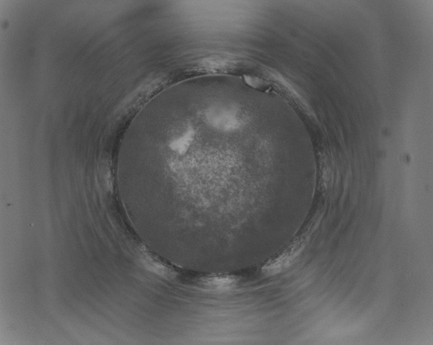 X0000074040313200608281451