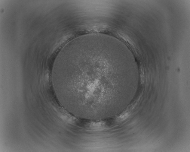 X0000074040314200608281451