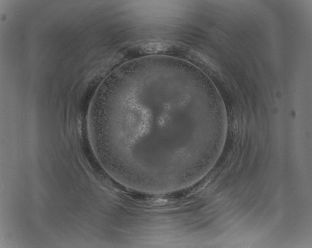 X0000074040315200608281451