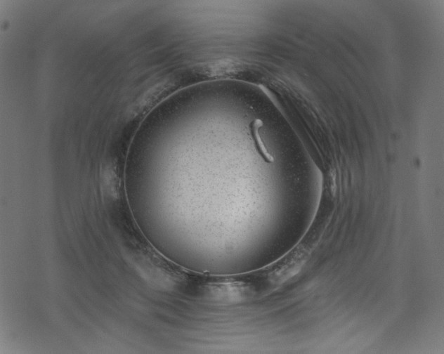 X0000074040316200608281451