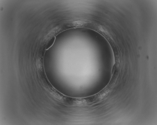 X0000074040317200608281451