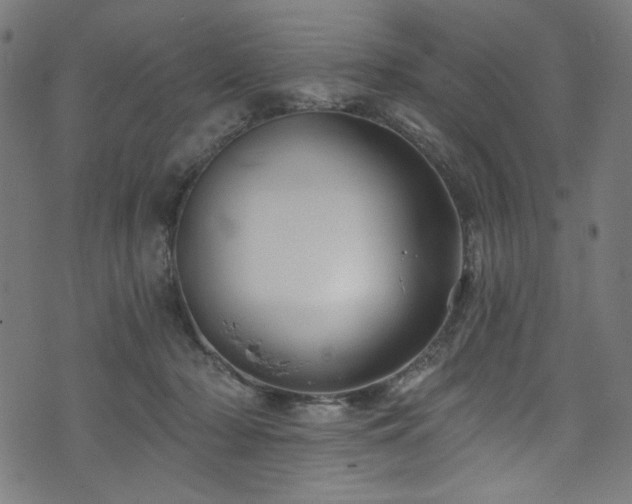 X0000074040318200608281451