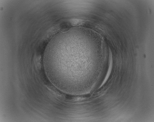 X0000074040319200608281451