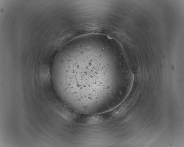 X0000074040320200608281451