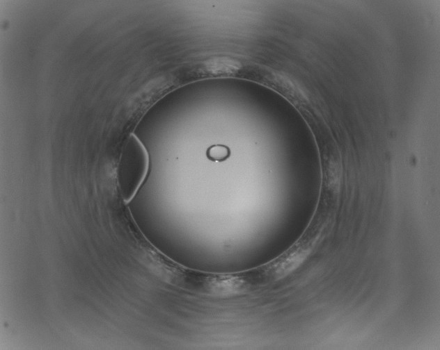 X0000074040321200608281451