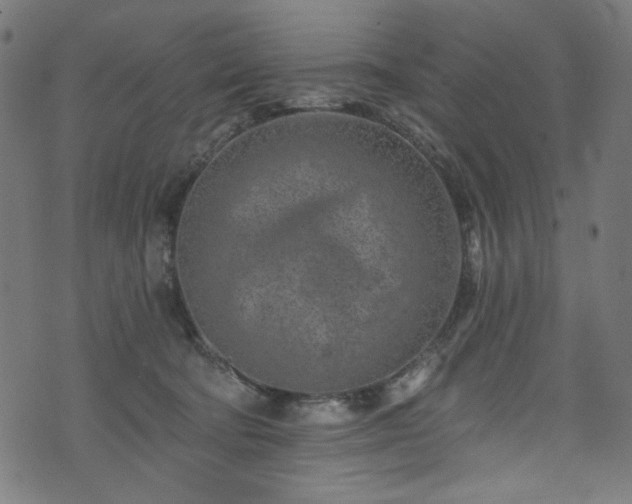 X0000074040322200608281451