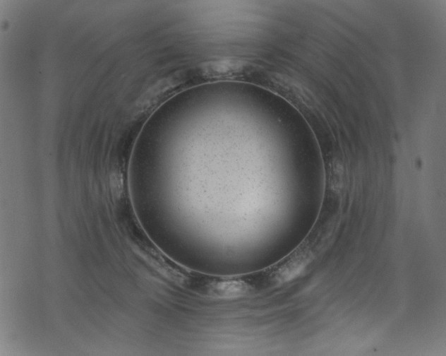 X0000074040324200608281451