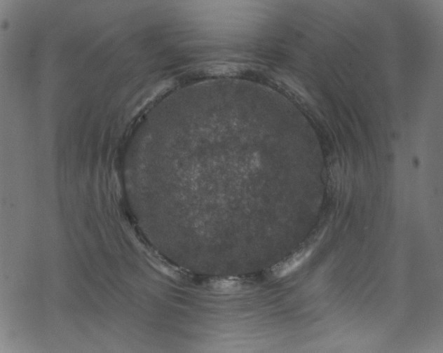 X0000074040325200608281451