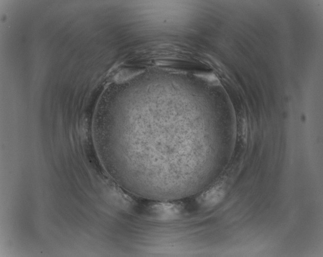 X0000074040326200608281451