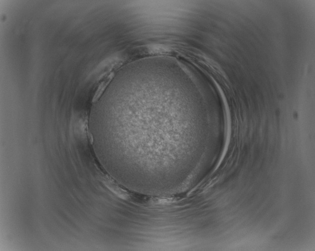 X0000074040329200608281451