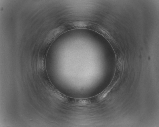 X0000074040330200608281451