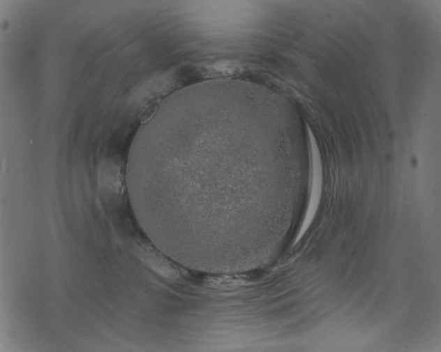 X0000074040331200608281451