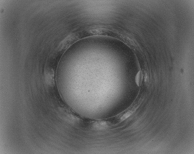 X0000074040332200608281451