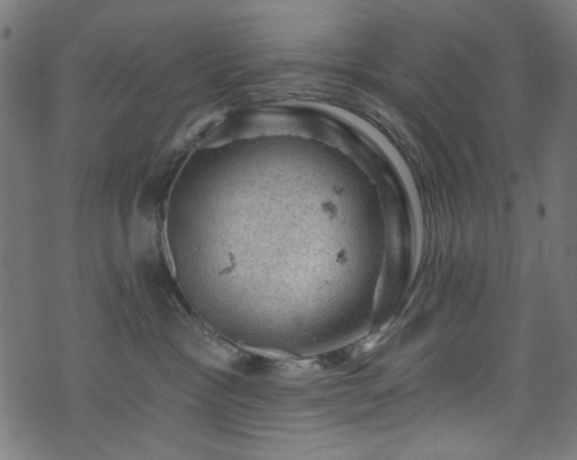 X0000074040333200608281451