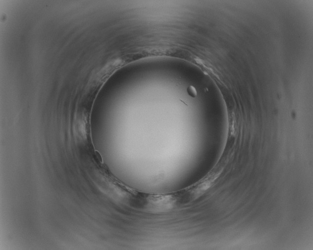 X0000074040334200608281451