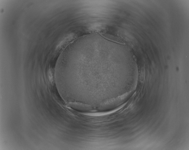 X0000074040335200608281451