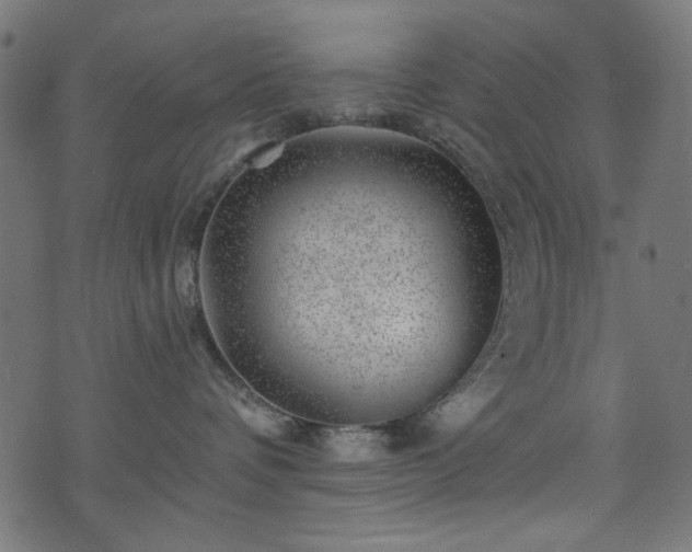 X0000074040336200608281451