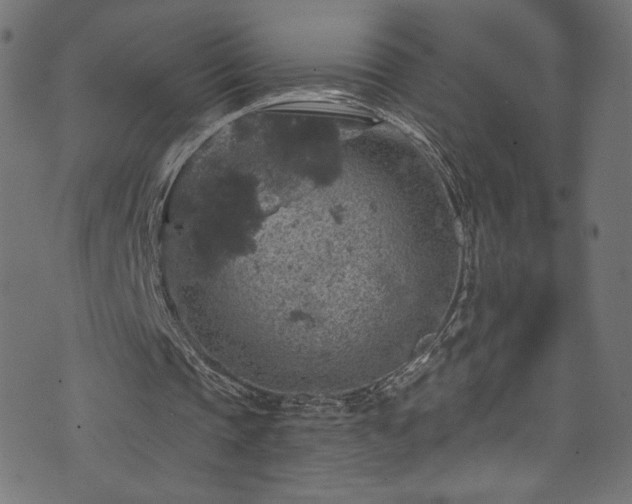 X0000074040337200608281450