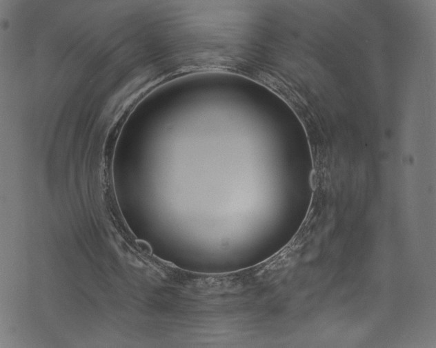 X0000074040338200608281450