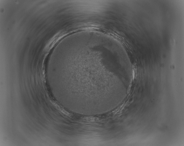 X0000074040339200608281450