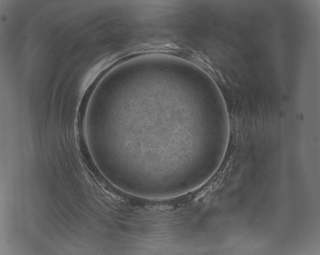 X0000074040340200608281450